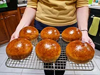 Soft Dinner Rolls